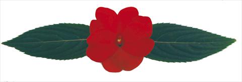 photo of flower to be used as: Pot, bedding, patio, basket Impatiens N. Guinea RE-AL® Borealis®